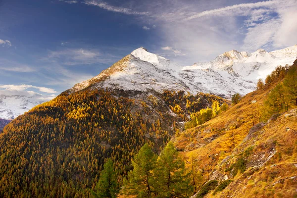 Poranek Alpach Pobliżu Miasta Zermatt Szwajcarii Pastwiska Górskie Dla Krów — Zdjęcie stockowe