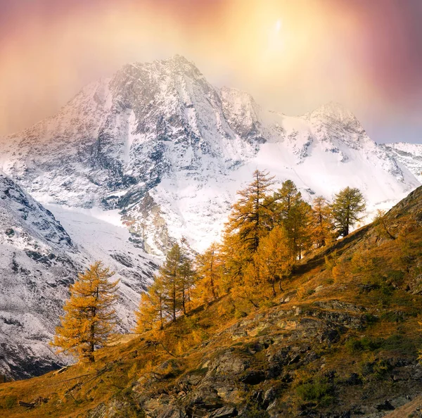 Morgon Alperna Nära Staden Zermatt Schweiz Fäbodar För Kor Och — Stockfoto