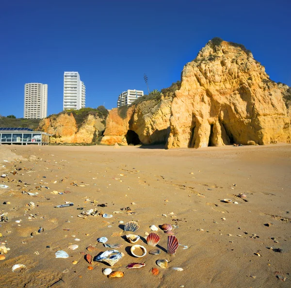 Playa Portimao Lugar Vacaciones Favorito Para Los Portugueses Europeos Visitantes — Foto de Stock