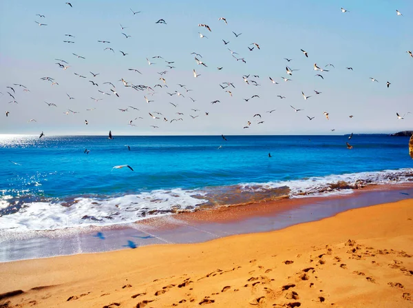 Pláž Portimau Oblíbeným Místem Pro Dovolenou Portugalců Návštěvníků Evropanů Čistý — Stock fotografie