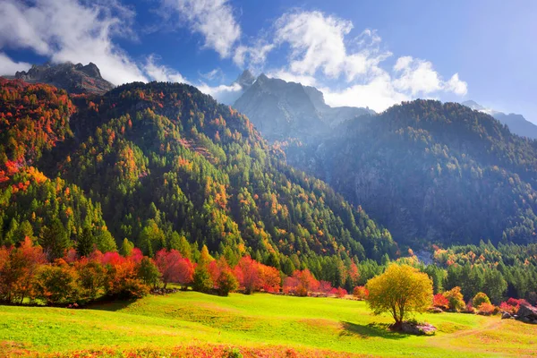 Schweizer Tal Zwischen Den Malerischen Herbstgipfeln Der Alpen Schöne Häuser — Stockfoto