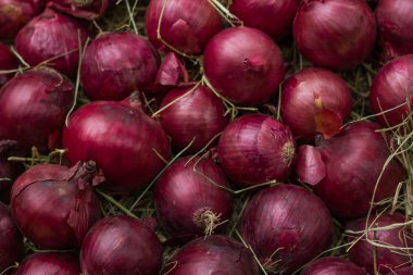 Kırmızı soğan saman üzerinde. Arka plan ve doku