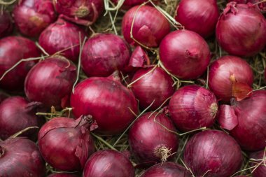 Kırmızı soğan saman üzerinde. Arka plan ve doku