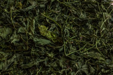 Yeşil kurutulmuş nane doku