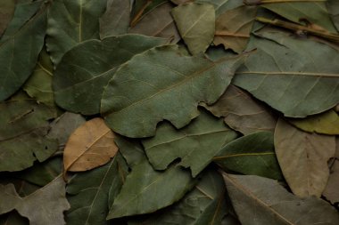 Makro defne yaprağı mutfak için