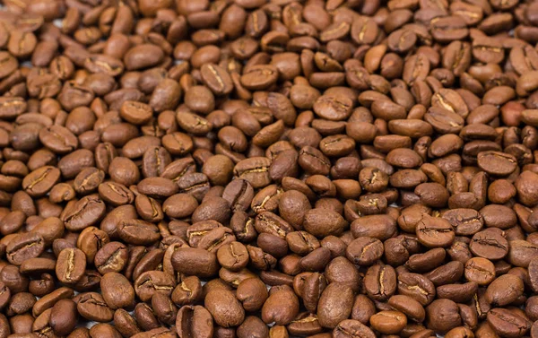 Coffee texture. coffee beans as background wallpaper. arabica cofee bean — Stock Photo, Image