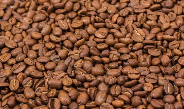 Текстура кави. кавові зерна як фонові шпалери. арабіка кавова квасоля Стокове Фото