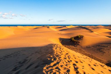 Maspalomas dunes Gran Canaria ada