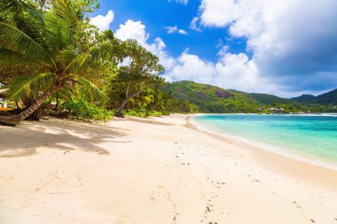 Seychelles Adaları'nın kıyısında güzel egzotik Plajı.