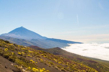 Teide yanardağı bulutların üstünde