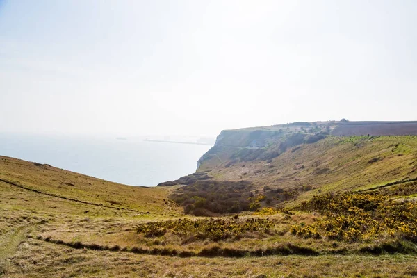 Cliffs of Mother Tourist Attraction in Ireland
