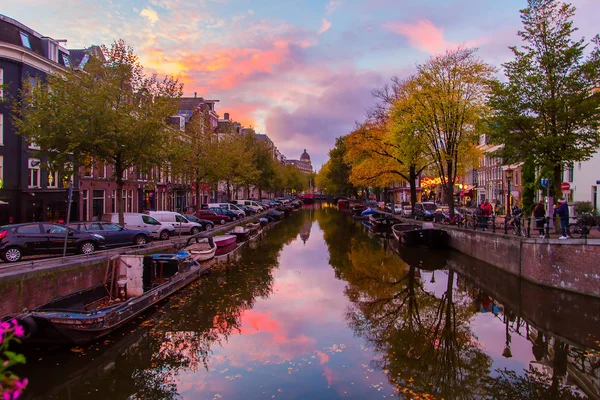 암스테르담 보기입니다 시간입니다 배와가의 놀라운 보라색 — 스톡 사진