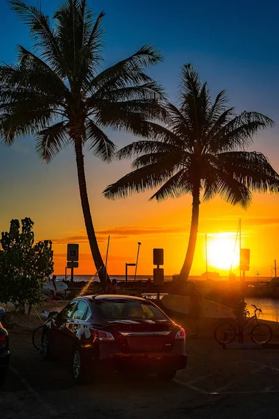 Absolutely Amazing Sunset View Island Hawaii Two Palms Car Bicycle — Stock Photo, Image