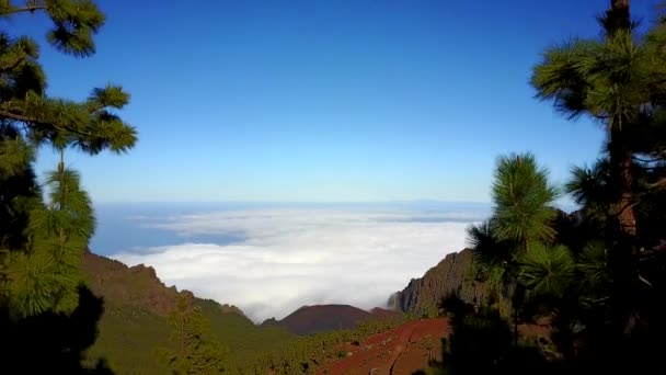 Montañas Sobre Las Nubes Las Islas Canarias Hermosa Naturaleza Vida — Vídeo de stock