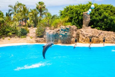 Yunus gösterisi Loro Park Tenerife