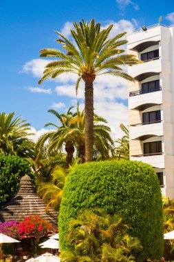 Güzel lüks Palm Beach Otel üzerinde Adası, Gran dune tarafından bulunan Canaria 