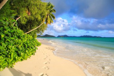 Seychelles Adaları'nın kıyısında güzel egzotik Plajı.