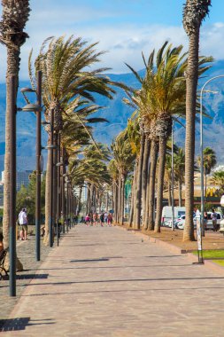 okyanus kıyısında Las Americas şehir tarafından