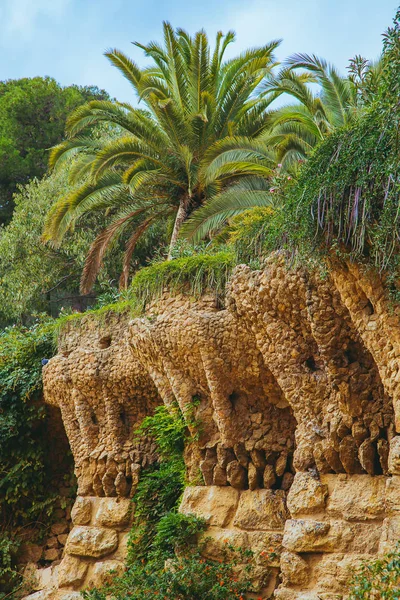 Columnas Entre Los Árboles Piedra Parque Güell Diseñado Por Antoni — Foto de Stock
