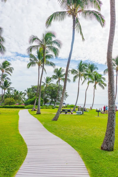Alley Trail Luxury Hawaii Resort Night Bahia Principe Mexican Resort — Stock Photo, Image