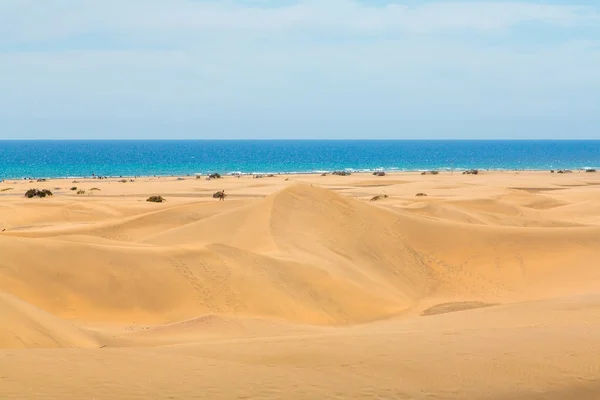 Vacker desert av Atlanten — Stockfoto