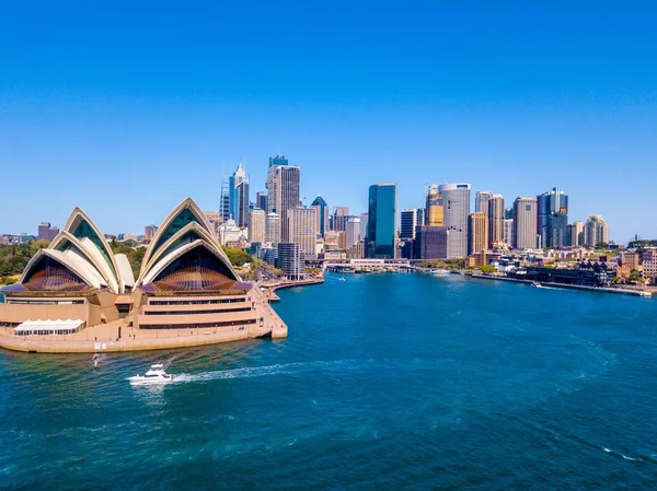 Vacker Utsikt Över Stadsdelen Sydney Harbour Med Harbour Bridge Botaniska — Stockfoto