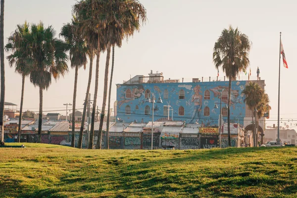Panoramik Bir Şaşırtıcı Sanatsal Venedik Plajı Bölgesinde Los Angeles Amerika — Stok fotoğraf