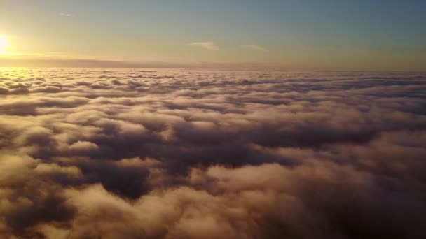 Emelkedik Felhőkön Naplemente Flying Során Naplemente Felhők Felett — Stock videók
