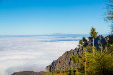 Teide yanardağı ağaçları ile bulutların üstünde 