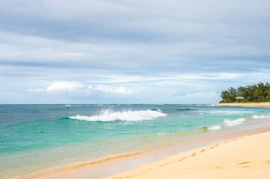 Kesinlikle inanılmaz güzel altın plaj Oahu, Hawaii adasında, Pasifik Okyanusu yanında. 