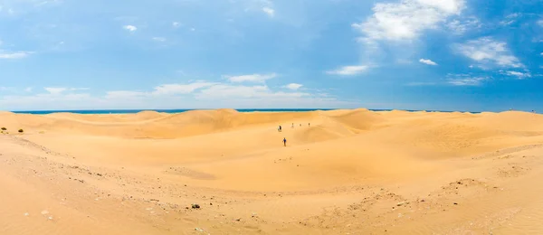 Atlantik Okyanusu tarafından güzel çöl — Stok fotoğraf