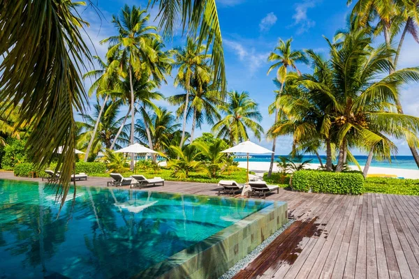 Hermosa Piscina Infinita Con Palmeras Fondo Hermoso Complejo Una Isla — Foto de Stock