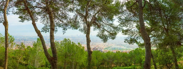 Vista Panorámica Barcelona Desde Parque Güell Día Verano España — Foto de Stock