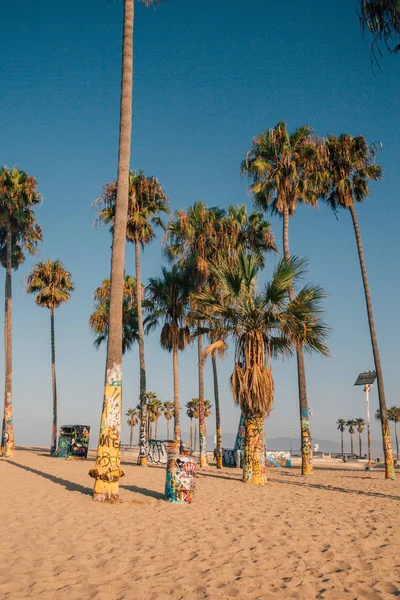 Panoramik Bir Şaşırtıcı Sanatsal Venedik Plajı Bölgesinde Los Angeles Amerika — Stok fotoğraf