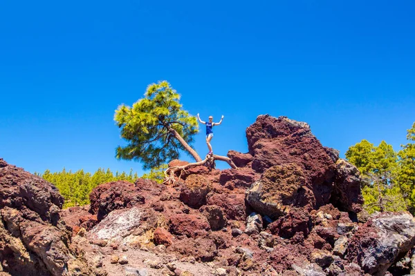 Yürüyüş orman ve kül ile kız 