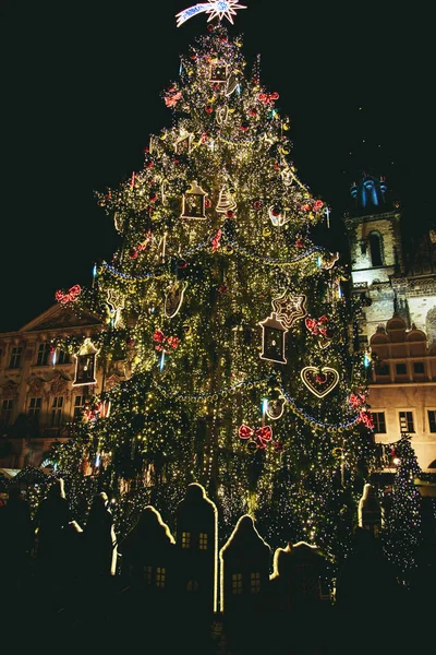 大聖堂の正面の装飾クリスマス ツリー立って — ストック写真