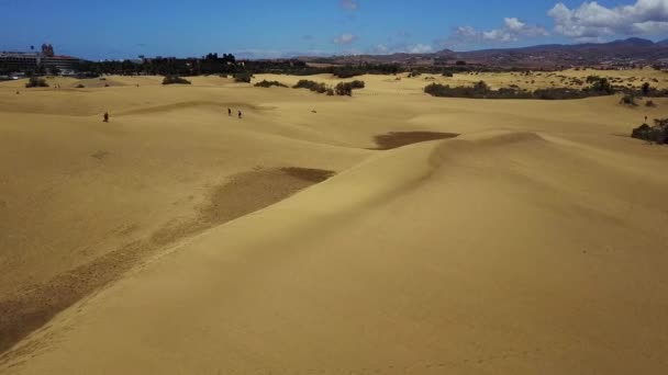 Luchtfoto Panoramisch Uitzicht Prachtige Zandduinen Natuurlijke Reserve Van Duinen Van — Stockvideo