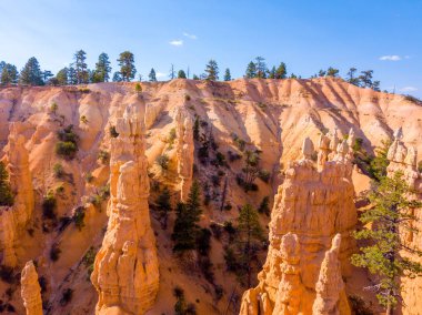 Güzel turuncu Bryce canyon kayalıklarla