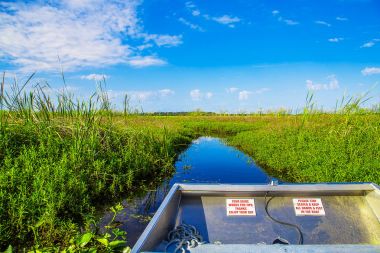 Airboat in a river near Evergades,Florida. Looking for alligators. clipart