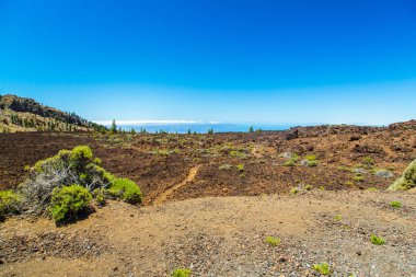 Bir çöl Adası Tenerife derinliklerinden gelen Volkanik ada görünümü