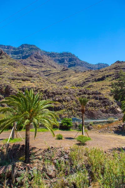 Belle vue sur la nature sur Gran canaria — Photo