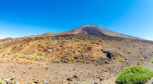 Teide Vulkan Blick vom Boden einer Wüste — Stockfoto