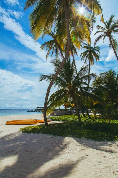 Beautiful Paradise Beach Tropical Island — Stock Photo, Image