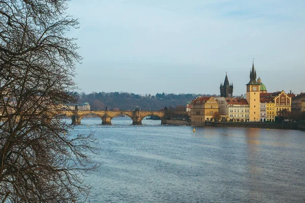 Solo Pedoni Ponte Carlo Pseudonimo Stone Bridge Kamenny Most Prague — Foto Stock