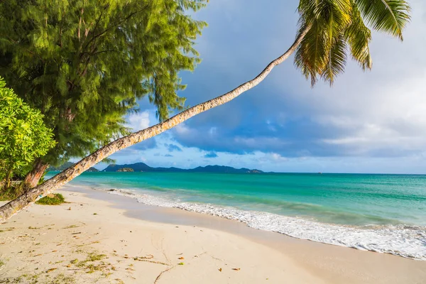 Seychelles Adaları Nın Kıyısında Güzel Egzotik Plajı — Stok fotoğraf