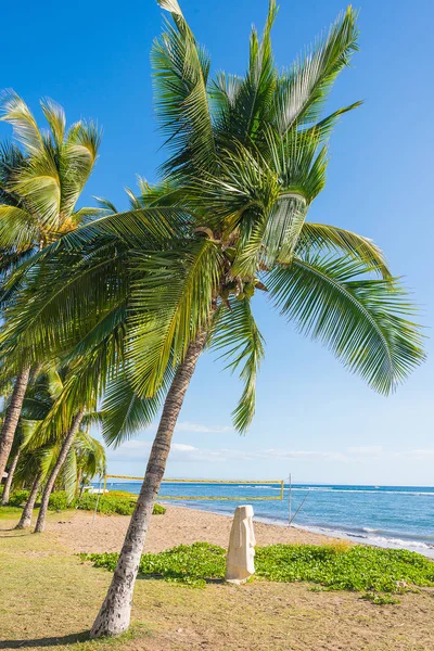 Absolutamente Incrível Bela Praia Dourada Pelo Oceano Pacífico Ilha Oahu — Fotografia de Stock