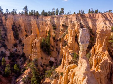Güzel turuncu Bryce canyon kayalıklarla