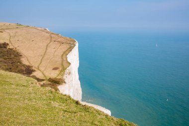 Anne turistik İrlanda kayalıklarla  