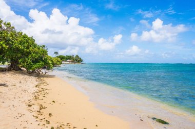 Kesinlikle inanılmaz güzel altın plaj Oahu, Hawaii adasında, Pasifik Okyanusu yanında. 