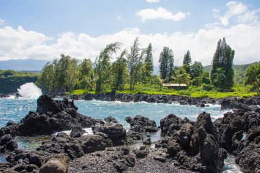Siyah kum plajı Hawaii Maui Adası okyanus manzarası
